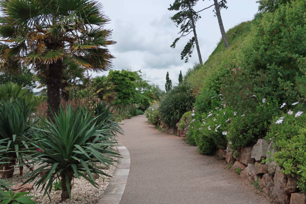 istock Path through semi tropical public gardens on Torquay seafront 1328350147