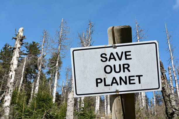 Save our Planet Sign with the inscription Save our Planet. In the background a dead forest in Germany climate justice photos stock pictures, royalty-free photos & images
