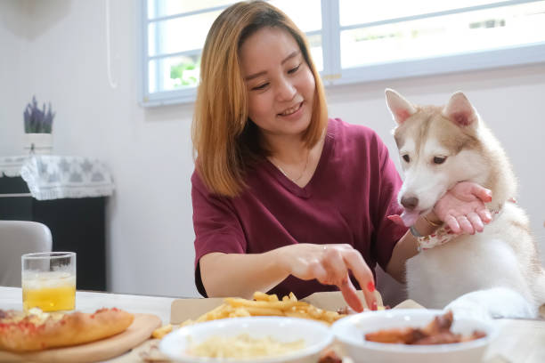 istock lady and dog eating together 1328353122
