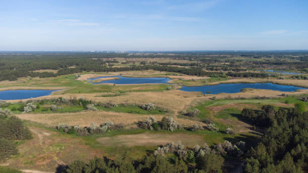 istock Top aerial view of three lakes between green fields and forests 1328353310