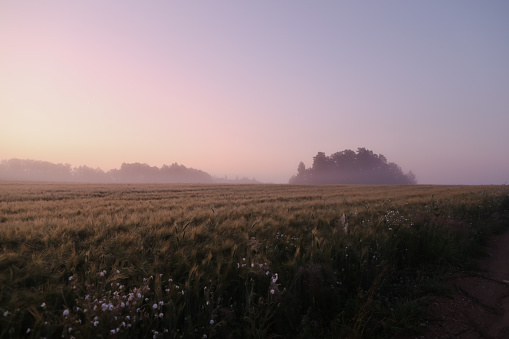 picturesque countryside landscape at dawn