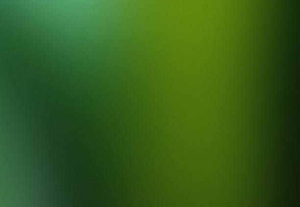 istock Grainy Blurred Gradient Background, Matte Glass Effect, Green Natural 1328358979