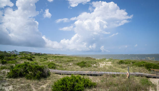 istock Vibrant Coastal Sand Dunes 1328361885