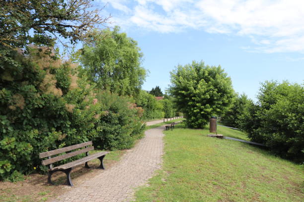 istock Pietonne walk along the Rhone River in Briord 1328365363