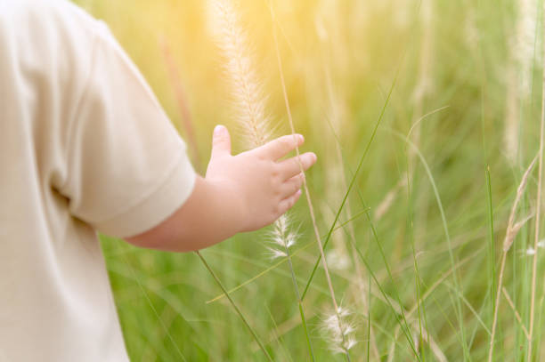 istock Close up child hand touching meadow field with flowers grass 1328367136