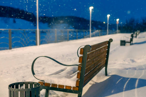 empty benches in a winter evening during a snowfall in the park. rear view of bench and lantern lighting