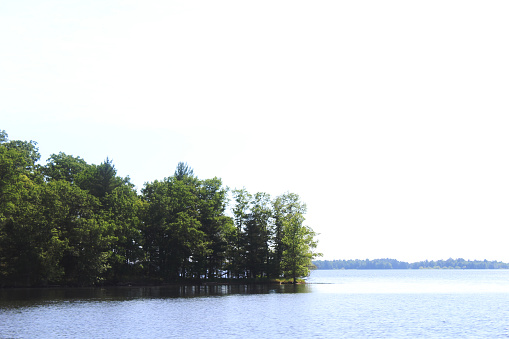 Natural shot of the full green trees in the spring along the lake water with the far lakeshore in the background.