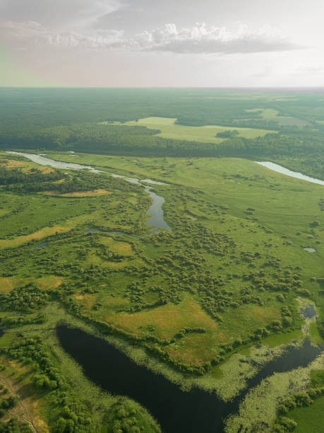 istock Beautiful summer landscape with a drone on the river, flood meadows, fields, forests. Vertical photo 1328368879