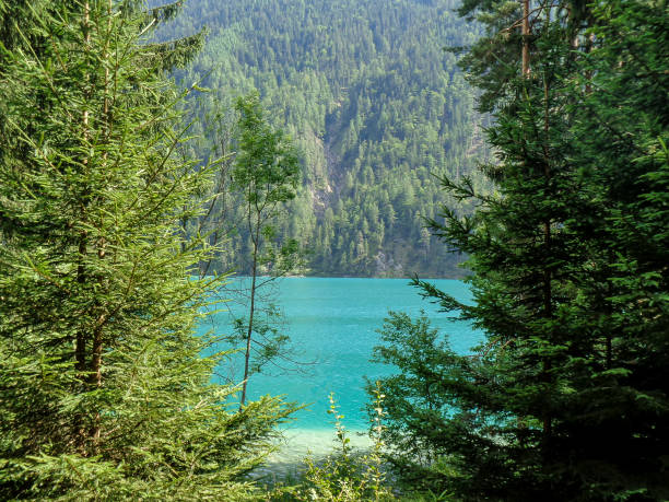 istock view to a wondeful lake in austria 1328369868