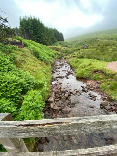 rio pen-y-fan montanha - extreme terrain footpath british culture green - fotografias e filmes do acervo