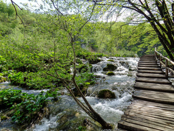 istock wonderful clear water on a hidden place 1328372285