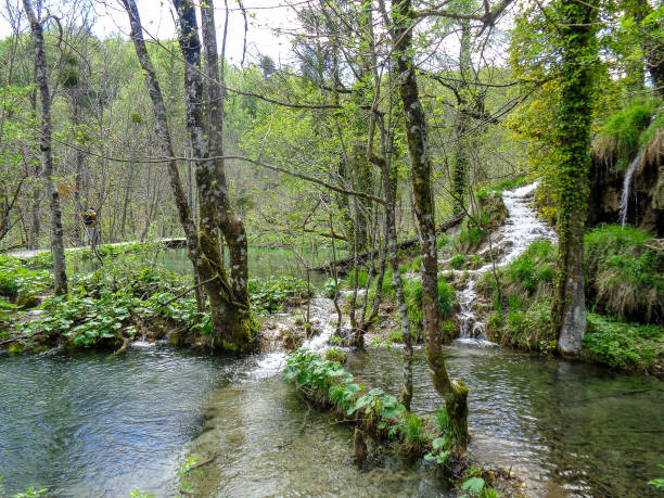 istock wonderfull waterfall on a hidden place 1328372294