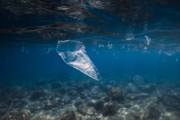 istock Underwater view in sea with plastic bag and rubbish, ecological problem 1328373134