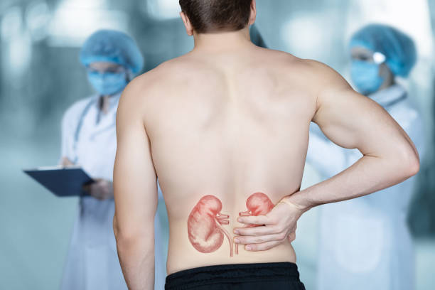 Patient is holding on to his back due to kidney pain. The patient is holding on to his back due to kidney pain. human kidney stock pictures, royalty-free photos & images