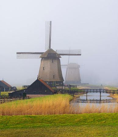 Dutch windmills along a canal with reed and a meadow alongside. The location is Schermerhorn, Netherlands