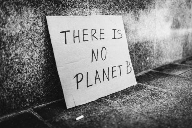 istock There is no Planet B sign on the street. 1328377762