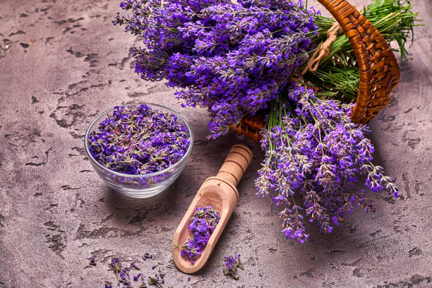 istock Lavender flowers in basket on gray concrete background. Top view. 1328381223