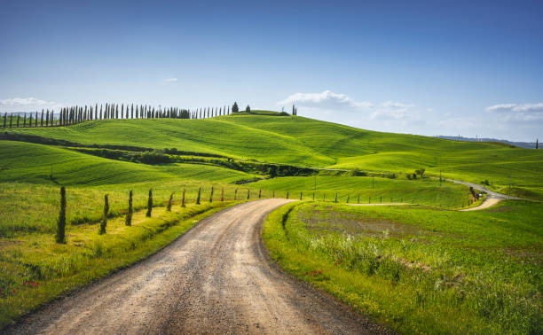 monteroni d'arbia, rota da via francigena. estrada curva. siena, toscana. itália - cypress tree fotos - fotografias e filmes do acervo