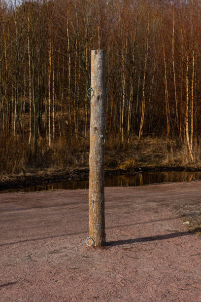 Wooden pole with metal rings used for training.