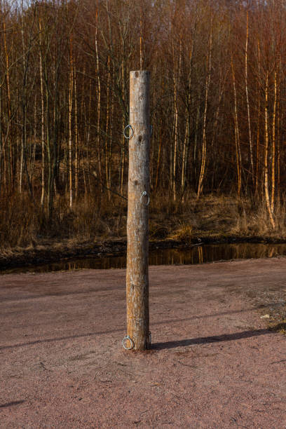 poste de madeira com anéis de metal usados para treinamento. - wood pole - fotografias e filmes do acervo