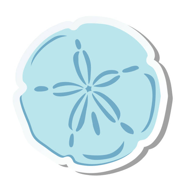Cute Summer Icon On a Trasparent Base - Sand Dollar stock illustration Summer icon on a transparent base. There is no white box in back. Flat design style. Easy to edit or change colors. EPS file is CMYK and comes with a large high resolution jpeg. sand dollar stock illustrations