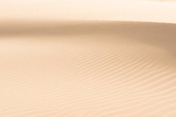 istock Fine texture and lines of sandy dunes in a desert.. 1328387771