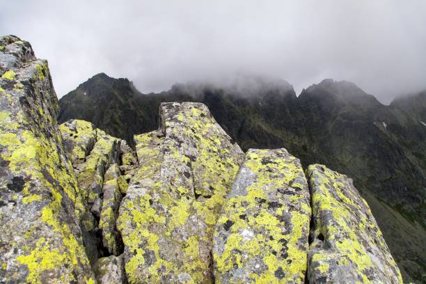 istock Vysoke Tatry or High Tatras mountains, Carpathia 1328390439