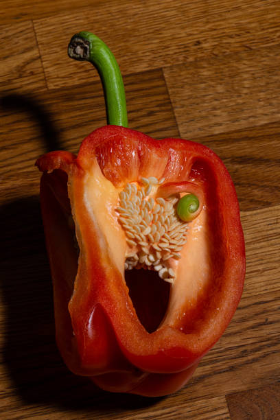 istock Red bell capsicum pepper opened up. Seeds and an internal proliferation visible.. 1328391474