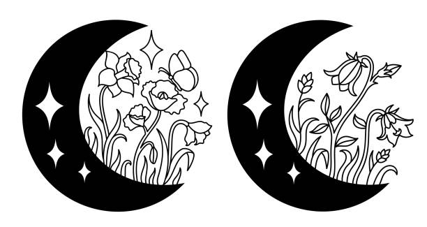 illustrazioni stock, clip art, cartoni animati e icone di tendenza di fiore selvatico in stile artistico linea disegnato a mano. - daffodil flower silhouette butterfly