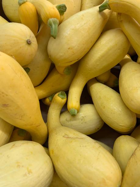 una scatola di zucca gialla - crookneck squash foto e immagini stock