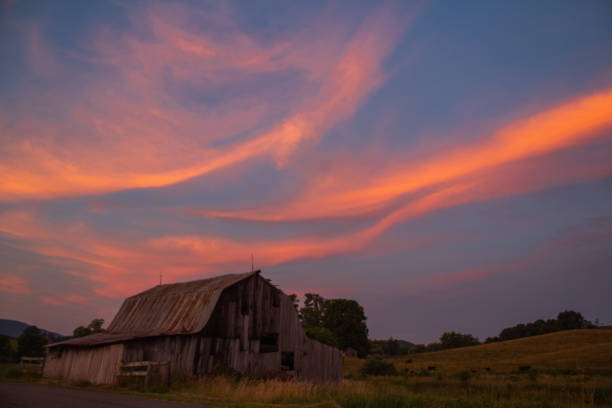 Colorful evening sunset on the farm Colorful evening sunset on the farm 7676 stock pictures, royalty-free photos & images