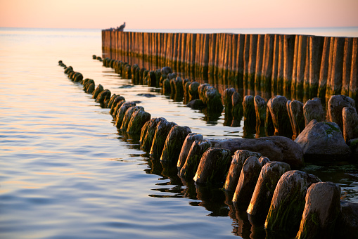 Old breakwater wooden pillars and stones at the Baltic Sea, pink sky and blue water in sunset colors