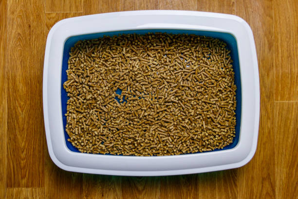 istock Cat's litter box with filler on a floor. Top view 1328398894