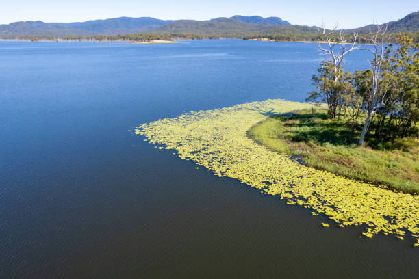 istock Aerial Of A Dam 1328400245