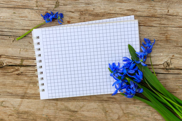 istock Blank notepad with blue scilla flowers on rustic wooden background 1328400286