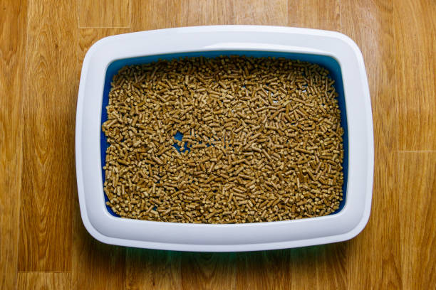 istock Cat's litter box with filler on a floor. Top view 1328406165