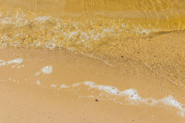 istock Soft wave of sea on sandy beach 1328406195