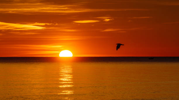 istock Sunrise over sea. Morning seascape. 1328406399