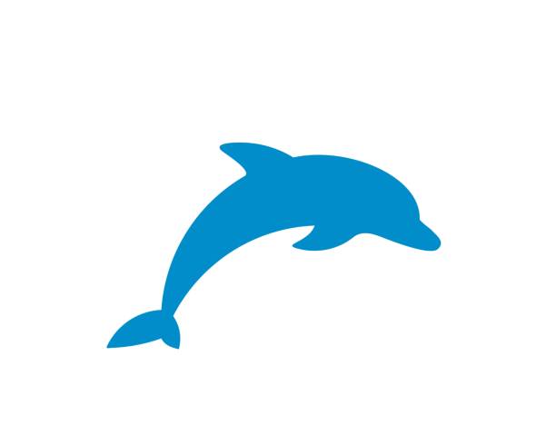 Dolphin vector silhouette Dolphin vector silhouette dolphin stock illustrations