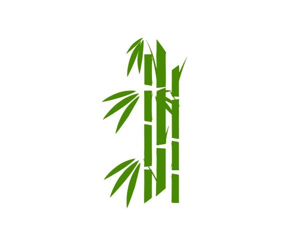 대나무 로고 벡터 - bamboo shoot leaf bamboo green stock illustrations