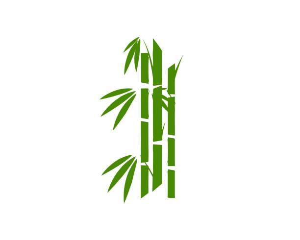 ilustrações, clipart, desenhos animados e ícones de vetor de logotipo de árvore de bambu - bamboo shoot leaf bamboo green