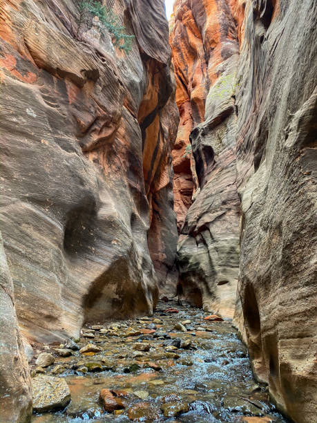istock Slot Canyon Adventures 1328407373