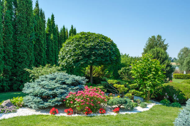 istock Beautiful backyard garden with nicely trimmed trees, bushes and stones. 1328408875