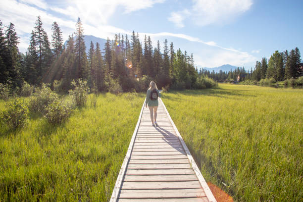 istock Woman walks down wooden boardwalk over marsh area 1328409610