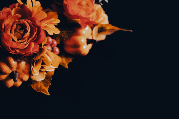 Autumn, halloween, background, frame, black background
