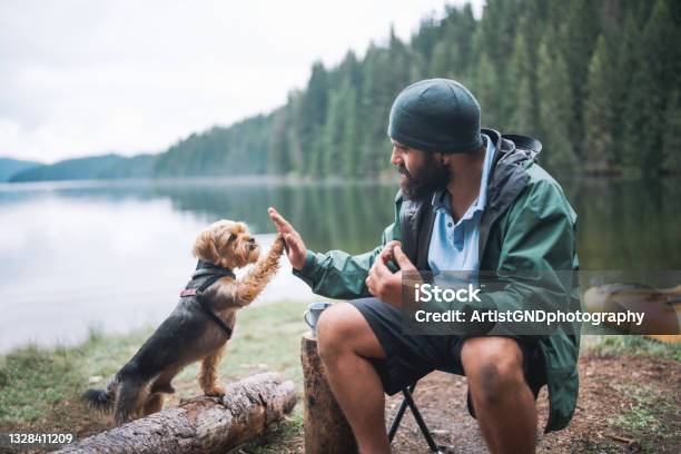 Young Bearded Man And His Dog Giving High Five To One Another At Camping Stock Photo - Download Image Now