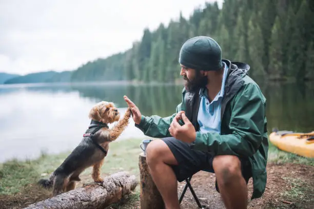 Photo of Young bearded man and his dog giving high five to one another at camping