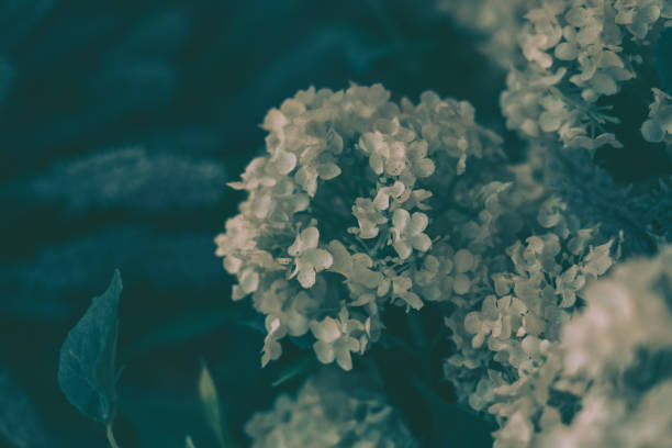 istock Beautiful Artificial Flowers Background, Vintage style; 1328411565