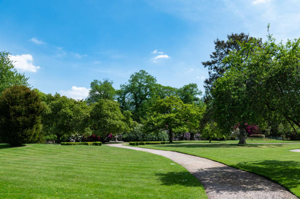 istock Beautiful Garden with blooming trees during spring time 1328411574