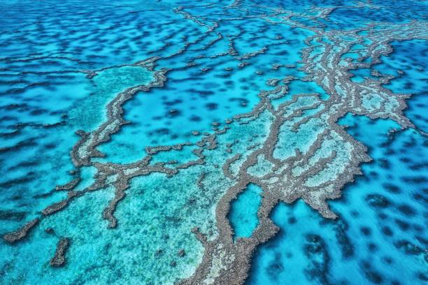 pejzaż morski wielkiej rafy koralowej w queensland, australia - scenics natural landmark local landmark international landmark zdjęcia i obrazy z banku zdjęć